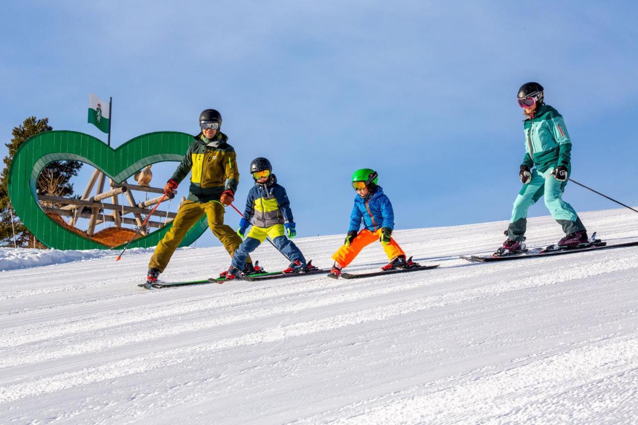 Apartments Haufhof , Haus Im Ennstal Bei Schladming Zewnętrze zdjęcie